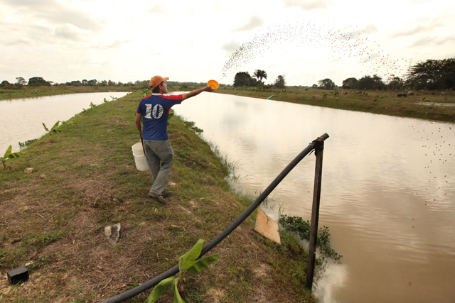 Meten en cintura a patronos que violaron derechos de trabajadores agrícolas