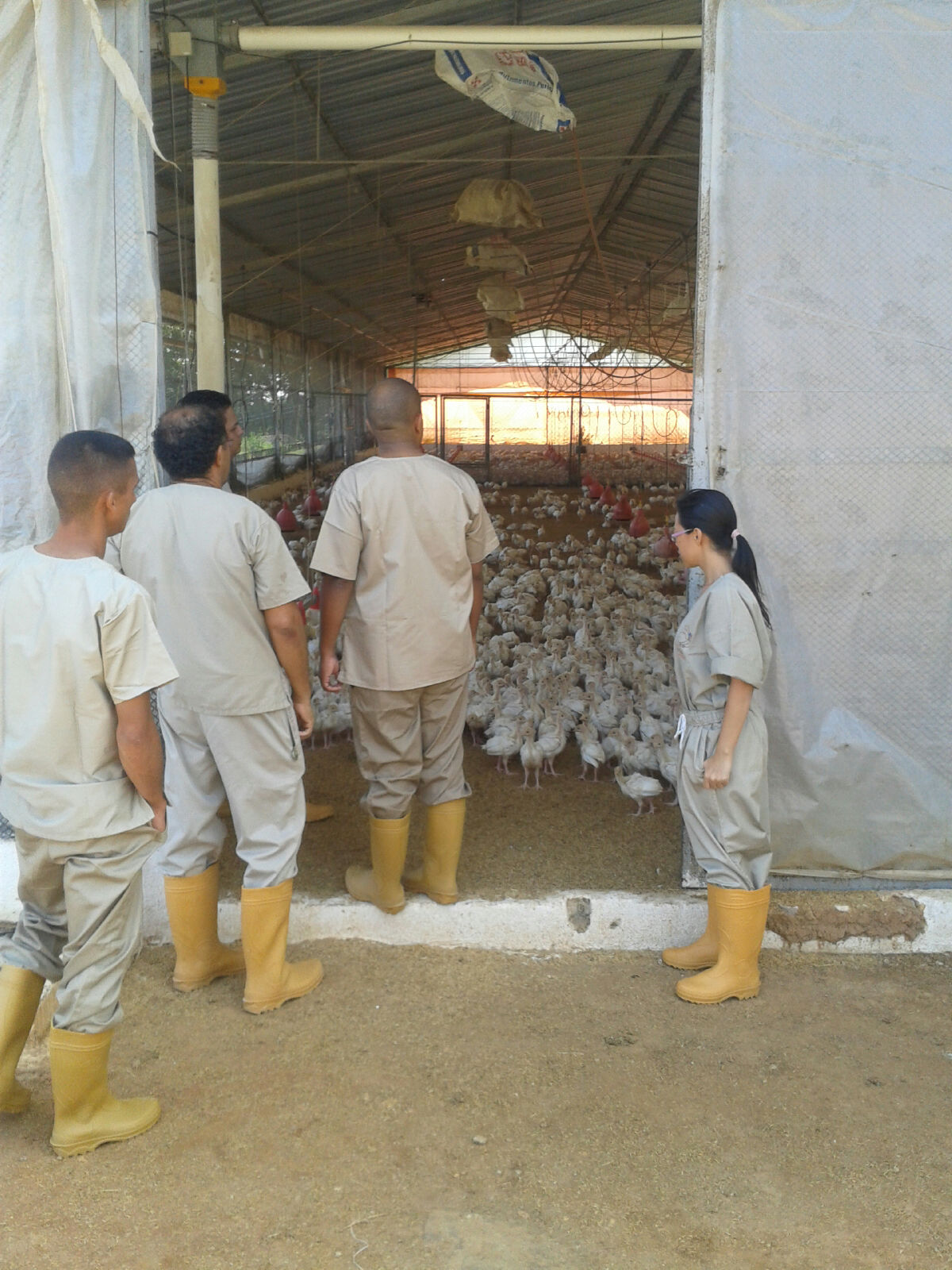 El Plan de Inspección Integral Agrario se despliega por Carayaca y El Junko