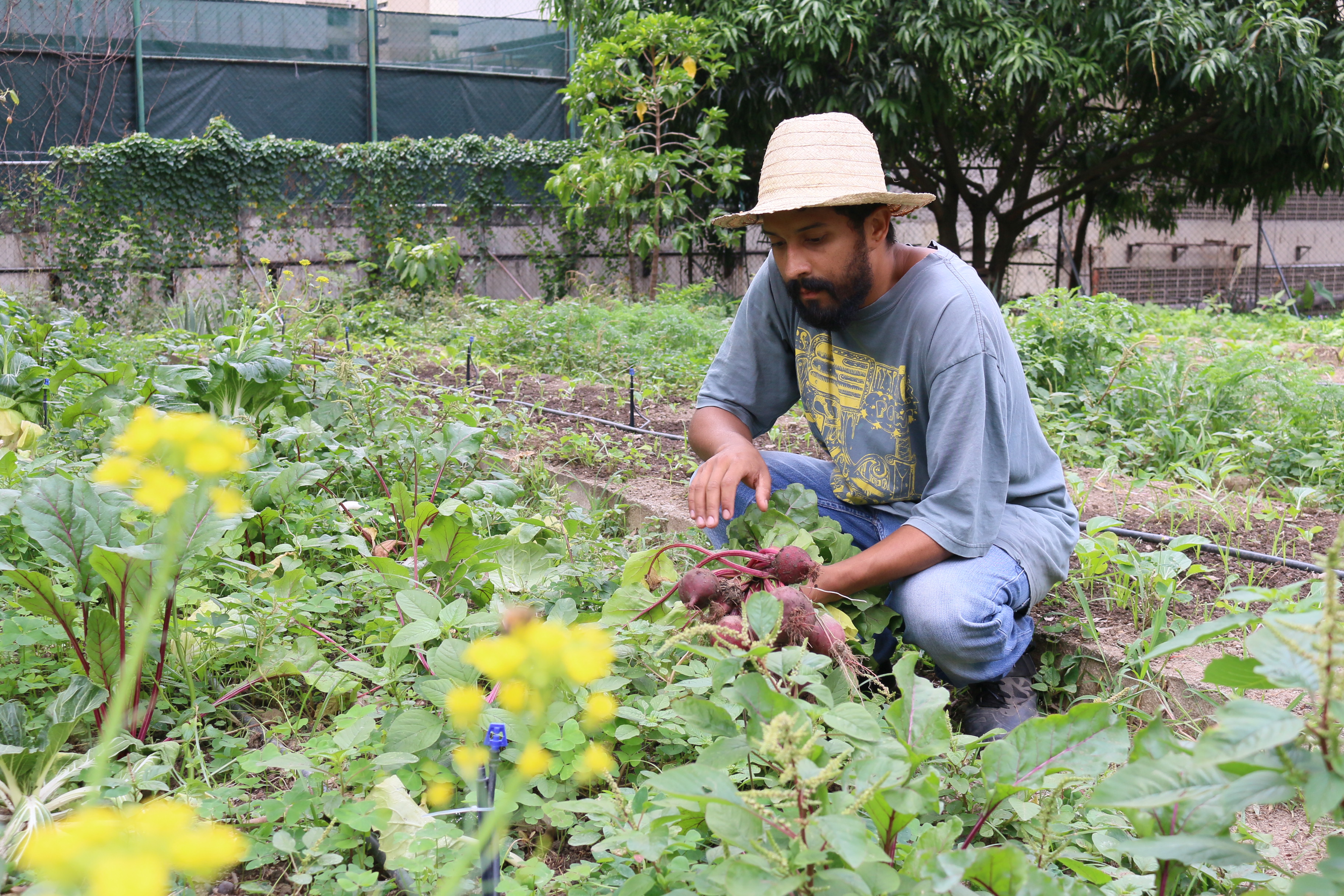 Viento en popa convenio Inces-Ciara para el impulso de la agricultura urbana
