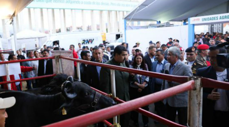 Mapa productivo para los próximos meses saldrá de la Expo Venezuela Producción Soberana