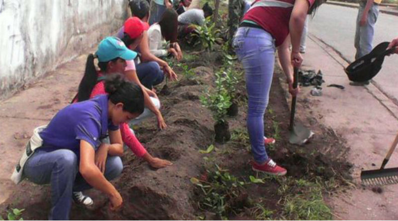 20.000 jóvenes se incorporan en una primera fase al Plan Chamba Juvenil Agrourbana