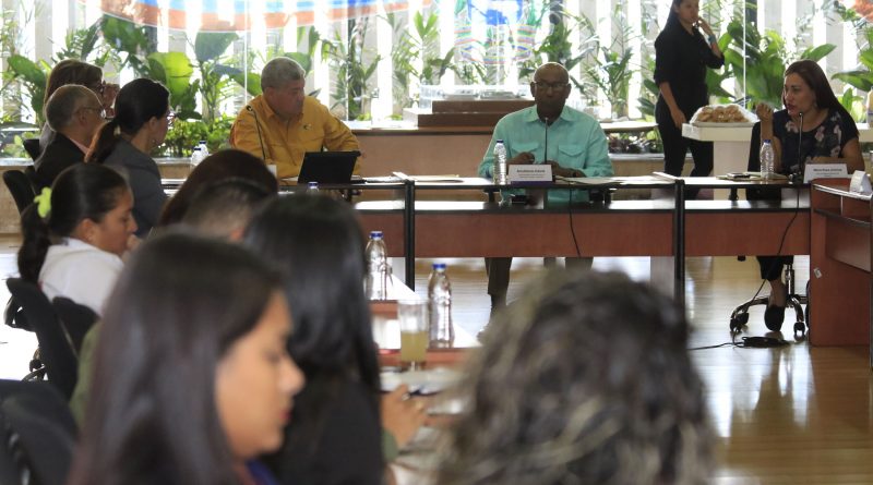 Ejecutivo Nacional impulsa estrategias de protección social.