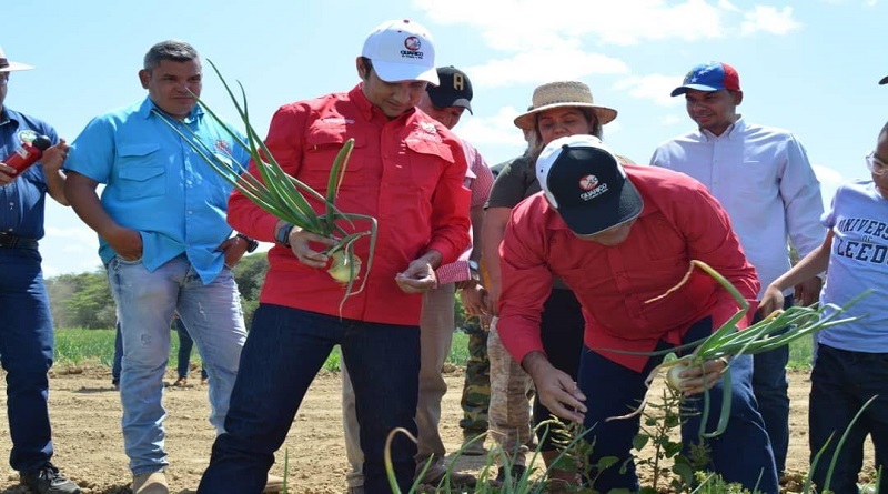Activan Motor Productivo en municipio Julián Mellado de Guárico