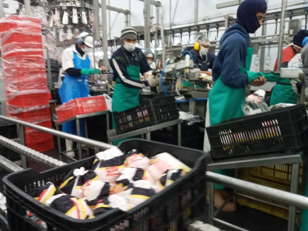 Gobierno Bolivariano garantiza al pueblo abastecimiento y distribución de la proteína animal