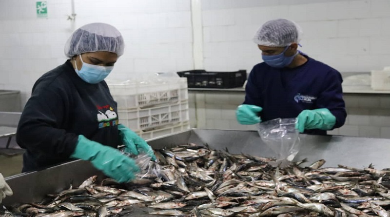 Inicia Apresto Operacional para La Distribución de Pescado Semana Santa 2021