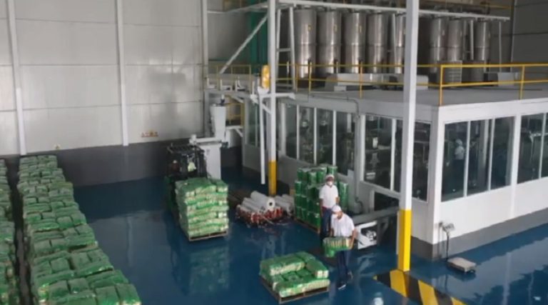 Complejo Empresarial Proalca Ares procesa 240 toneladas diarias de harina de maíz precocida