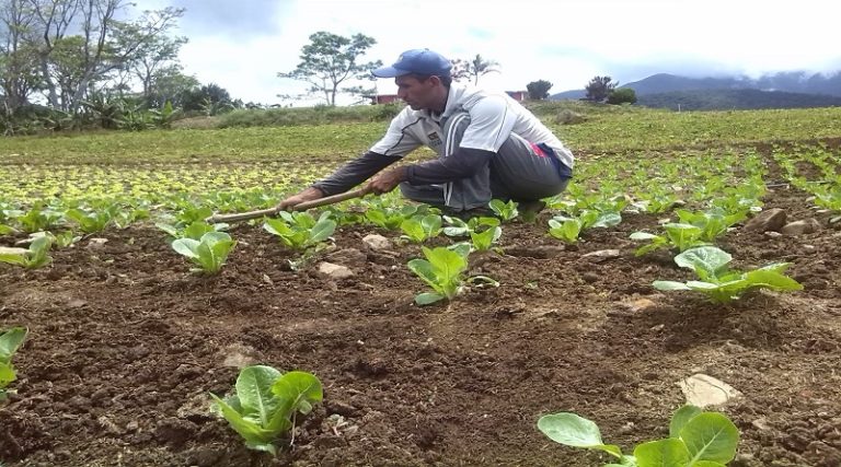 Productores afianzan relaciones para desarrollo agroproductivo en Dabajuro estado Falcón