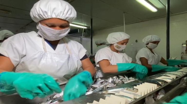 Planta Perlas del Sur en Nueva Esparta produce 240 mil unidades de latas de sardinas