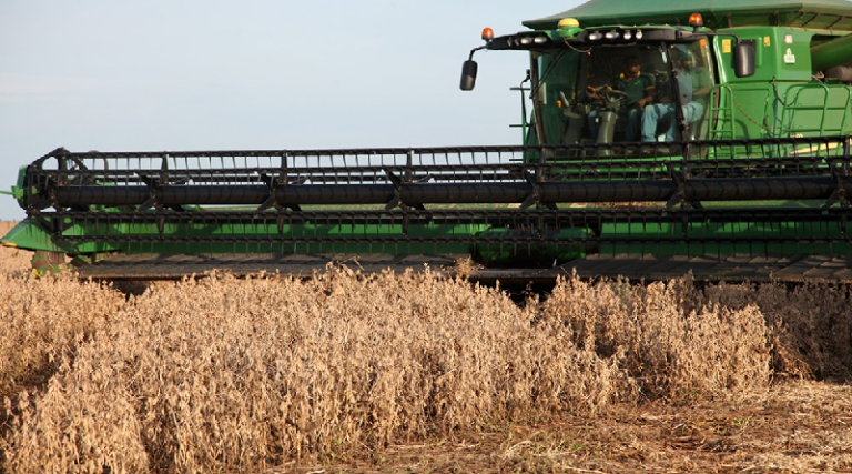 Venezuela y Ouro Branco de Brasil firman convenio para producir soya en Monagas