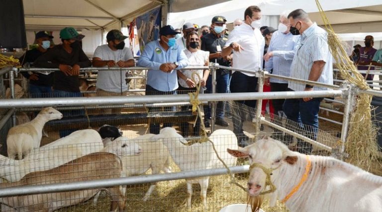 Gobierno inicia ruta para impulsar nueva visión económica-productiva en Guárico