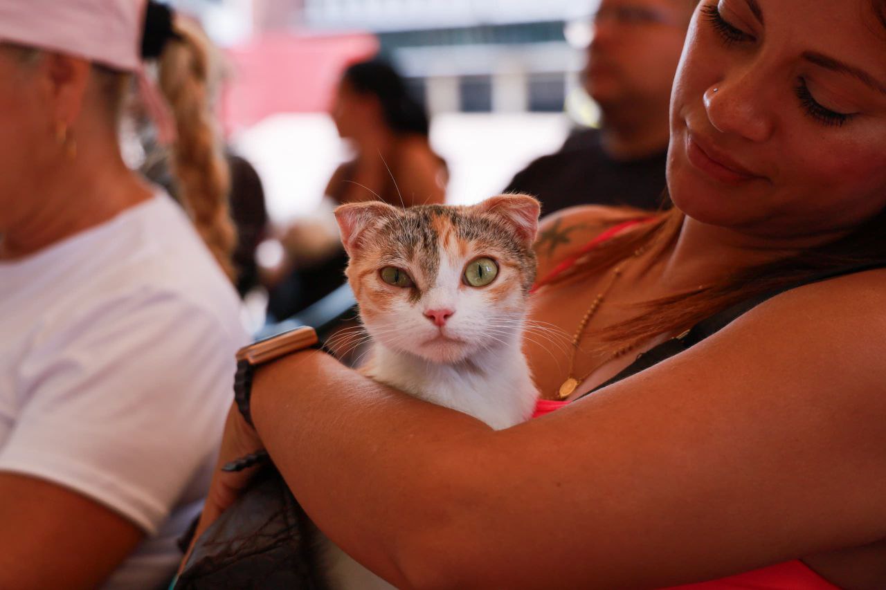 Desde Plaza Caracas, el Ministerio del Poder Popular para el Proceso Social de Trabajo (MPPPST) y Misión Nevado, realizaron una jornada de atención veterinaria para las mascotas de los trabajadores, trabajadoras y los transeúntes que pasaban por los alrededores.